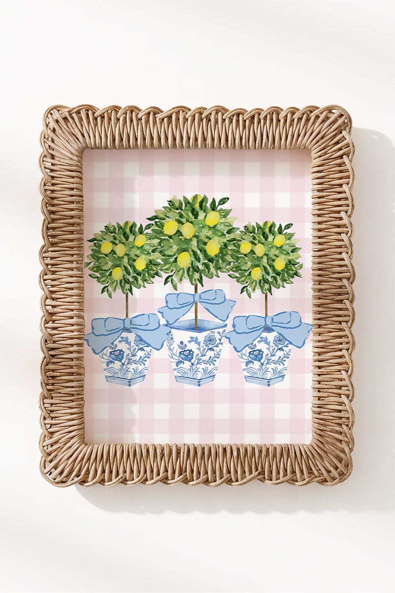 Pink Gingham Lemon Grove Trio Ready To Frame Canvas Print