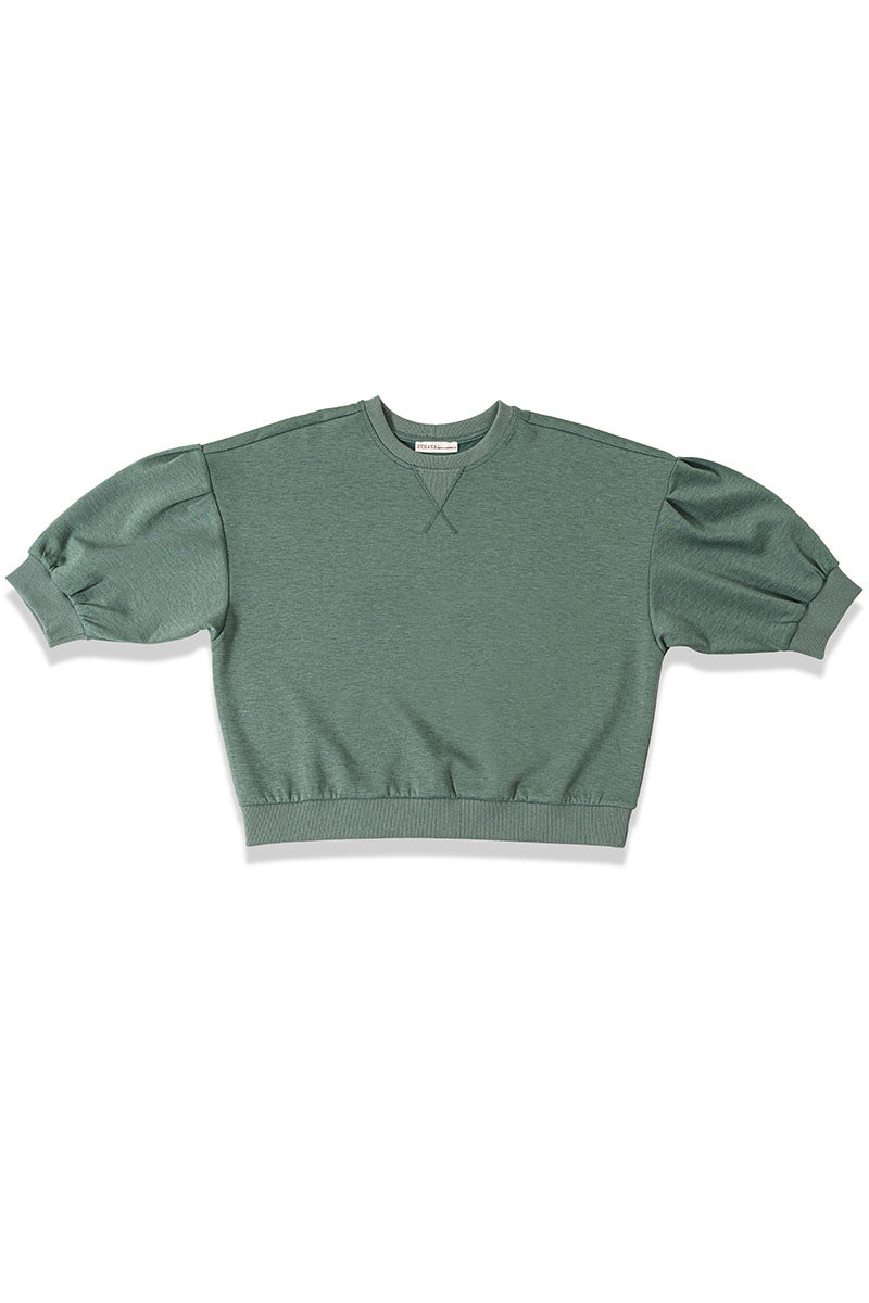 Everyday Ease Ash Jade Dolman Sleeve Scuba Pullover